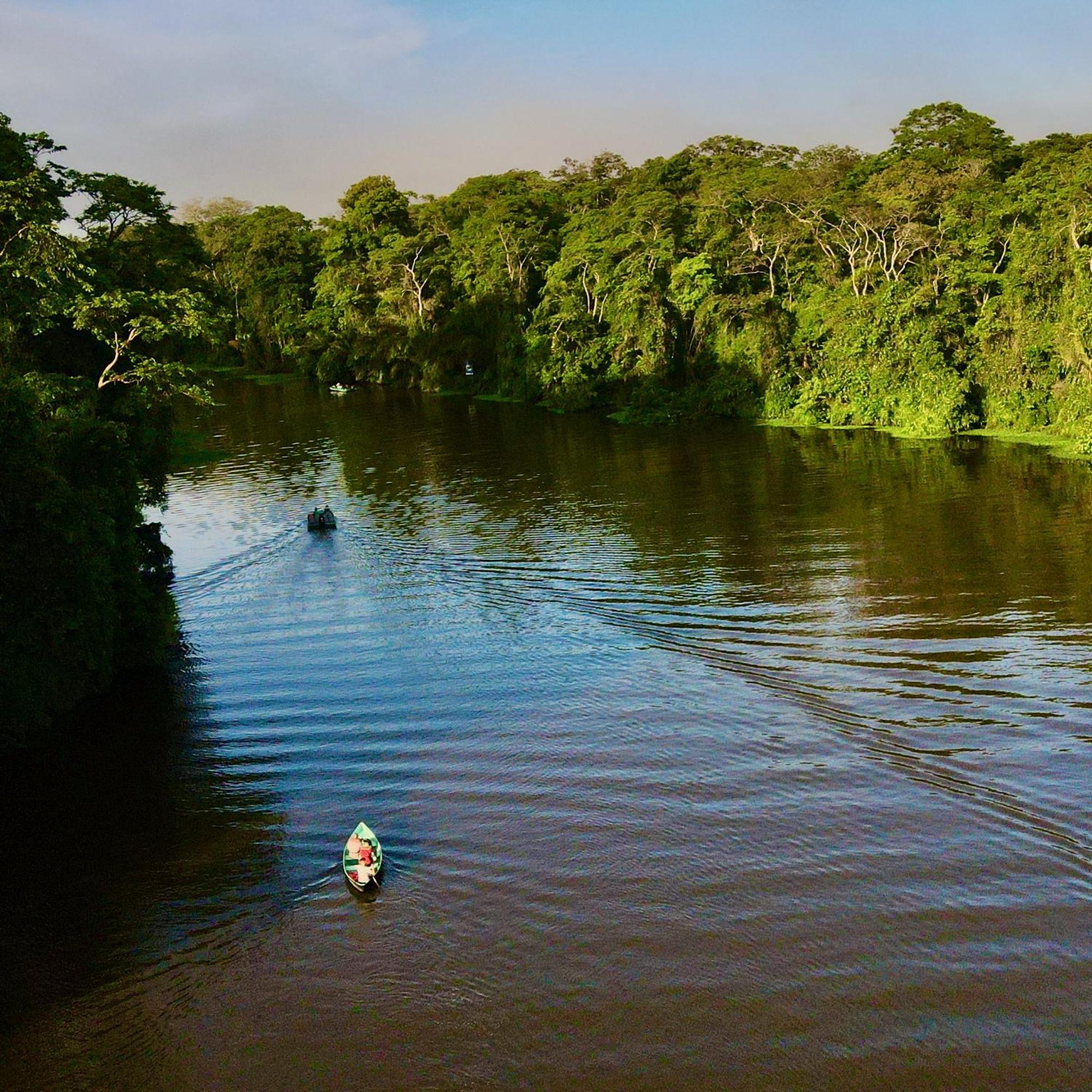 The Corner House Leilighet Tortuguero Eksteriør bilde
